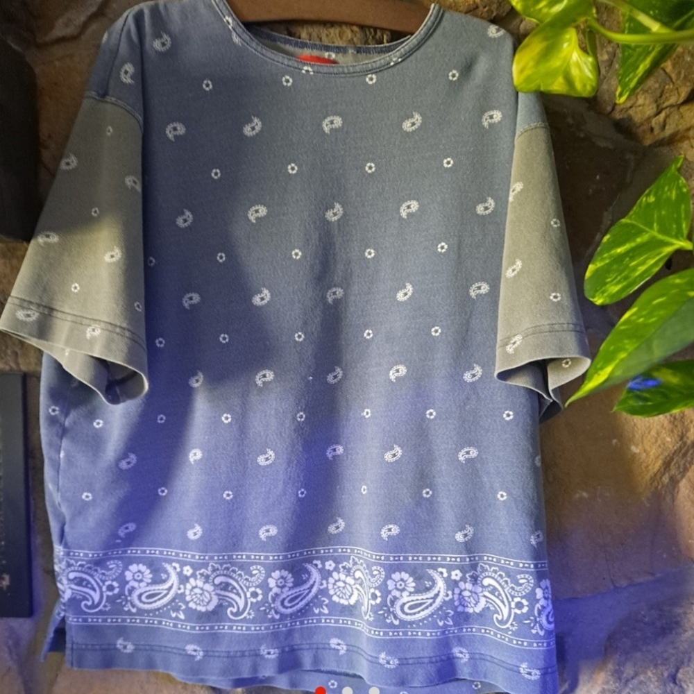 Vintage Paisley Top